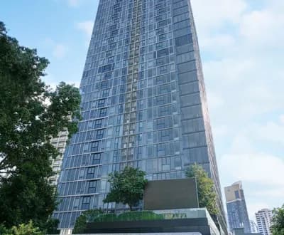 Siamese Exclusive Queens